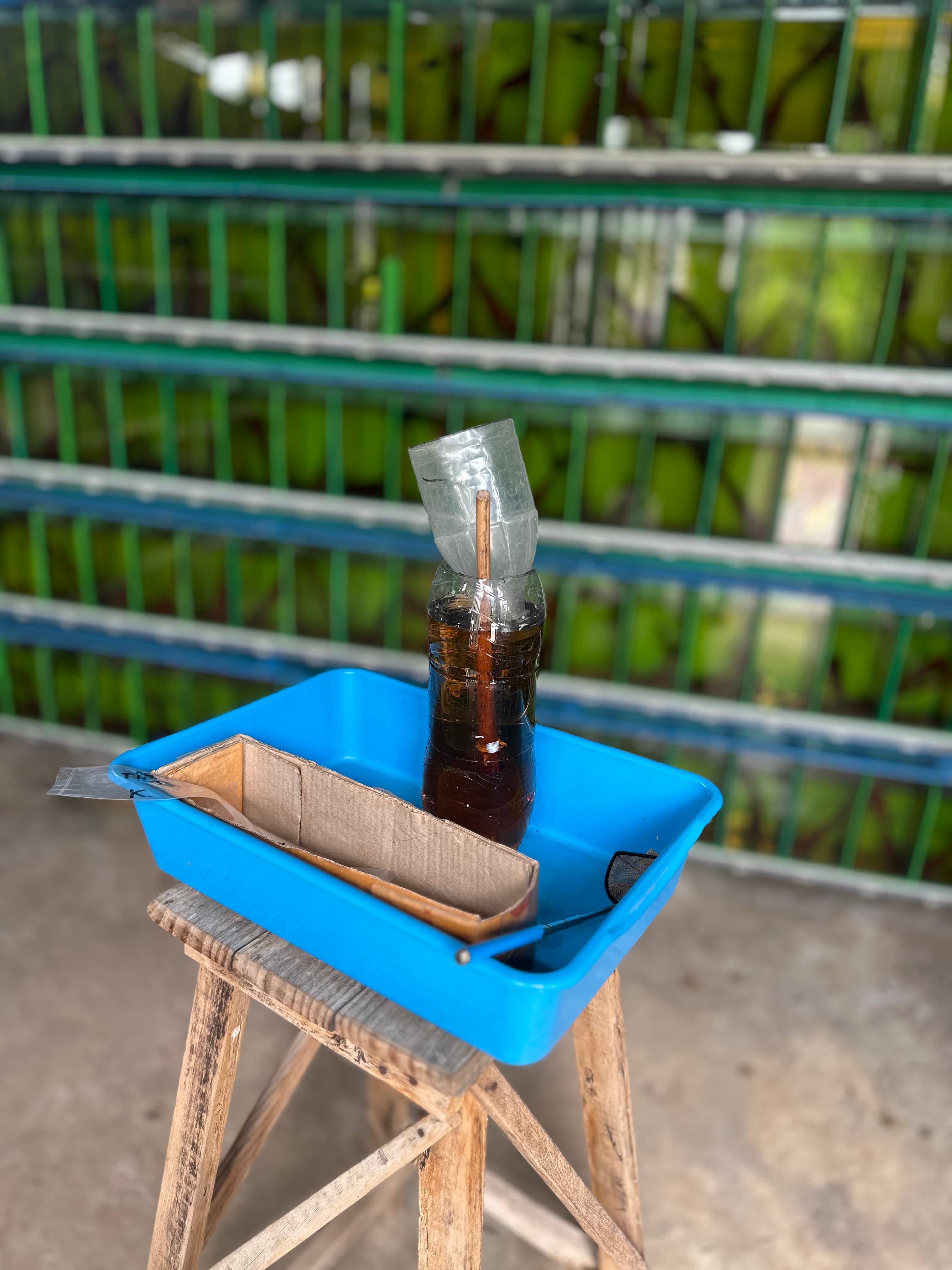 แพ็คปลา